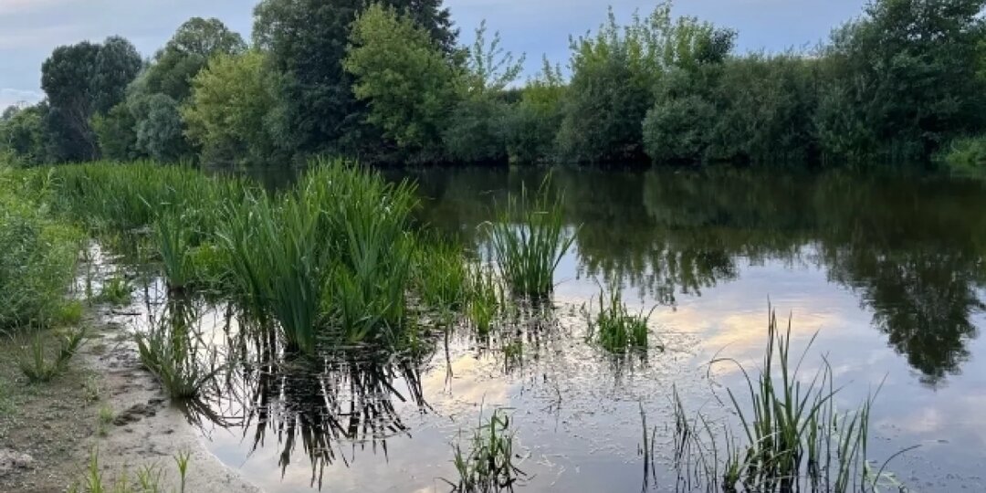 За год число погибших увеличилось на водоёмах Ростовской области