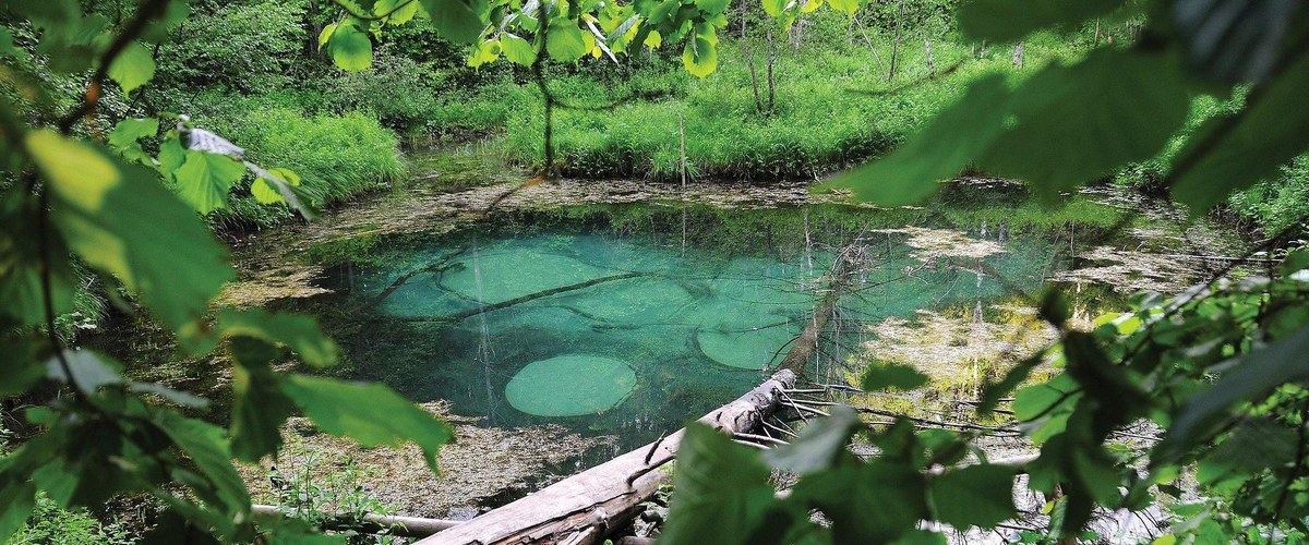 https://visitestonia.com/en/blue-springs-of-saula-sacrifical-springs