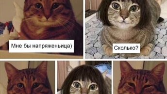 Заблуждение про "обрыв нуля"