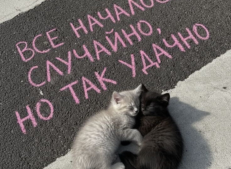Зачем мы сюсюкаемся с любимыми и нормально ли это