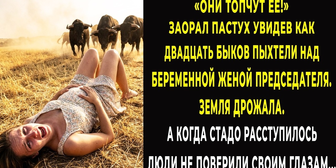Быки окружили беременную и не подпускали людей. Когда стадо расступилось — никто не мог говорить