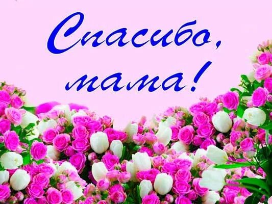 Спасибо мама