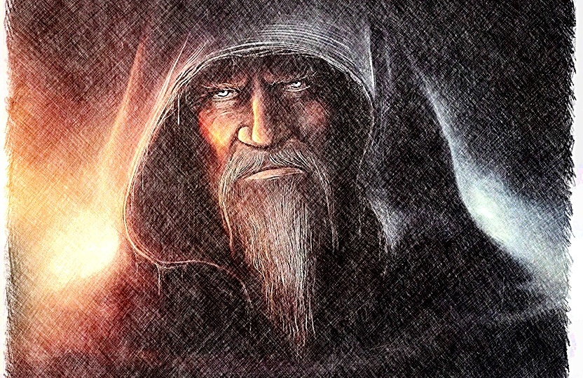 Черная книга Дикого Леса