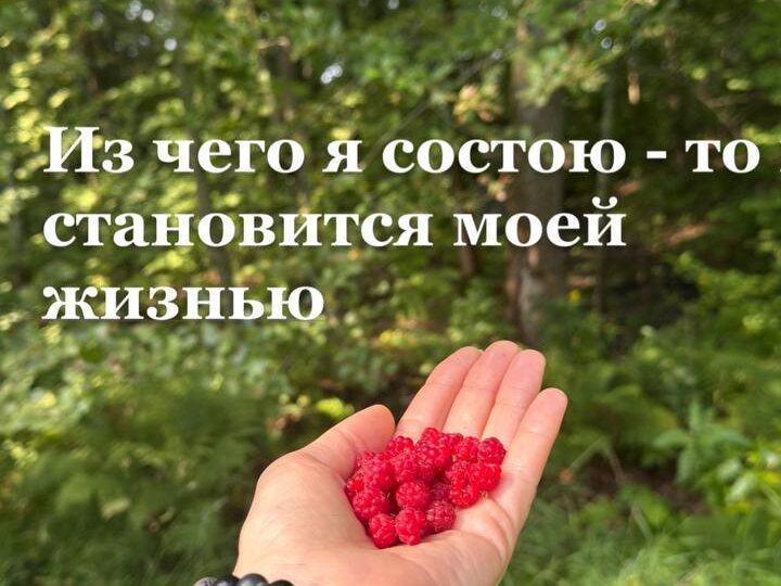 Из чего я состою — то и становится моей жизнью
