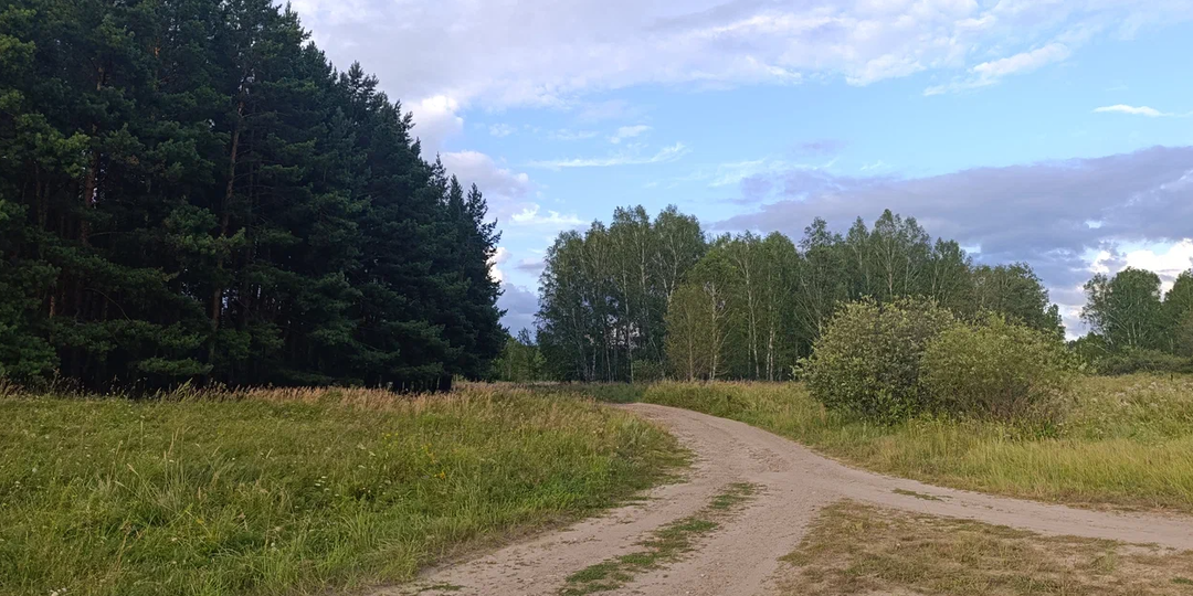 Деревенские наблюдения про "важнейшее из искусств"
