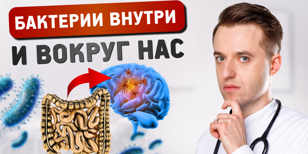 Кишечник и микрофлора: губки, мозг и клетчатка