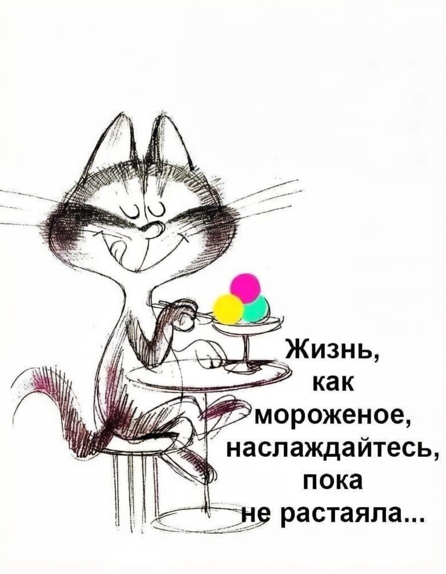 -26