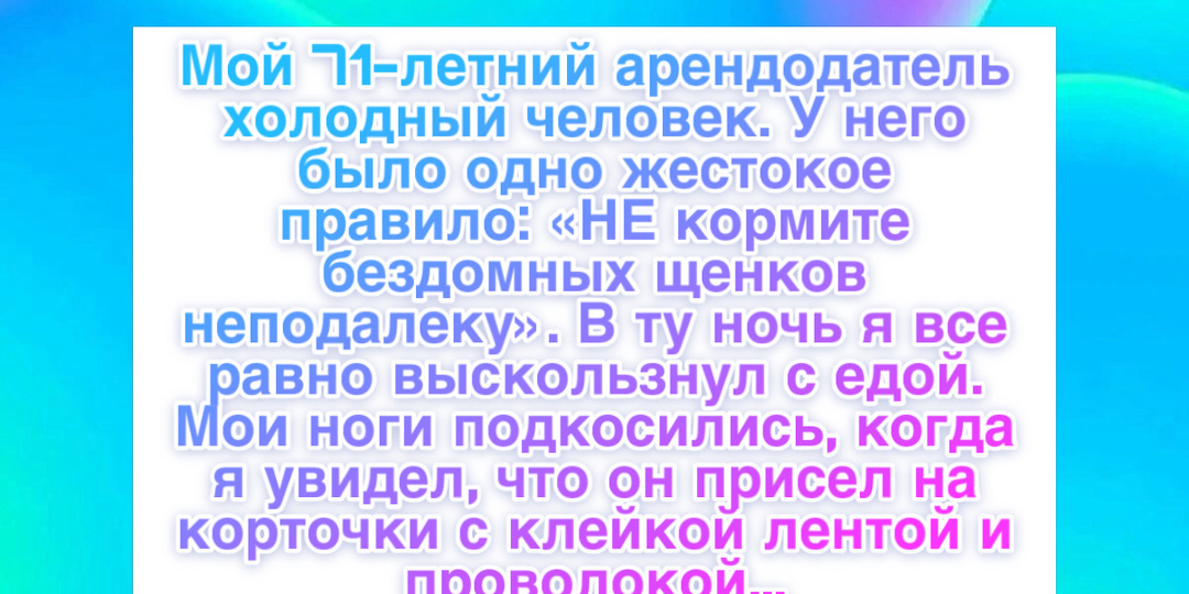 11 историй, которые напоминают: доброта и сострадание все еще делают этот мир счастливее