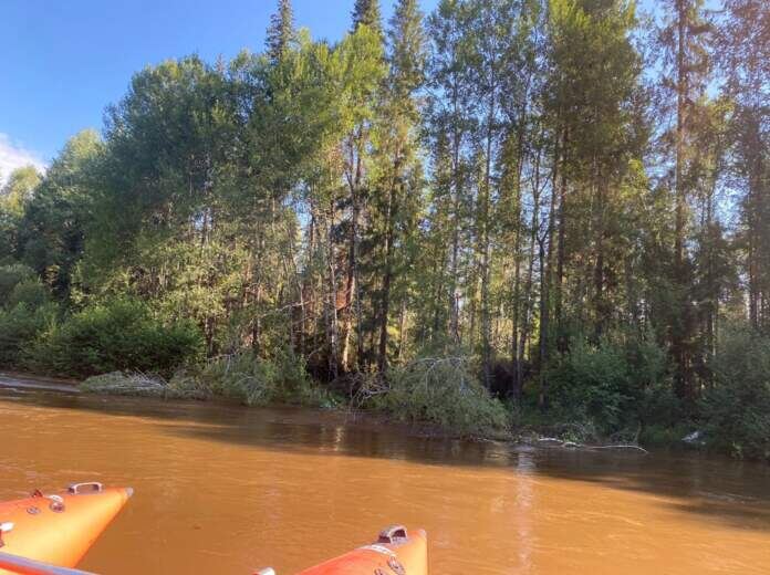 В Прикамье из-за дождевого паводка поднялся уровень воды в реке Усьва