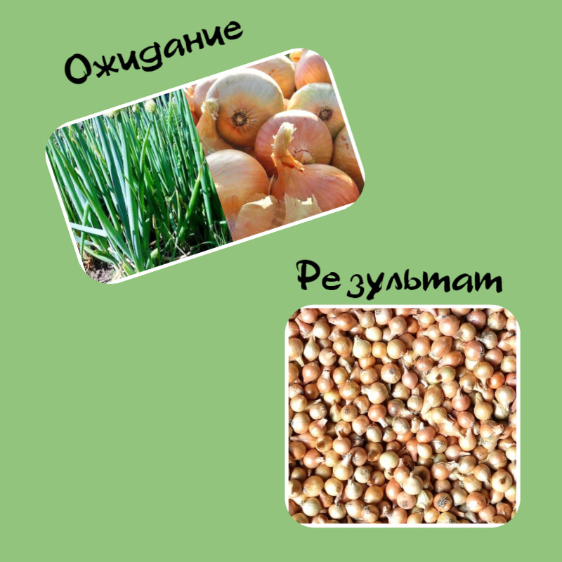 Как так?