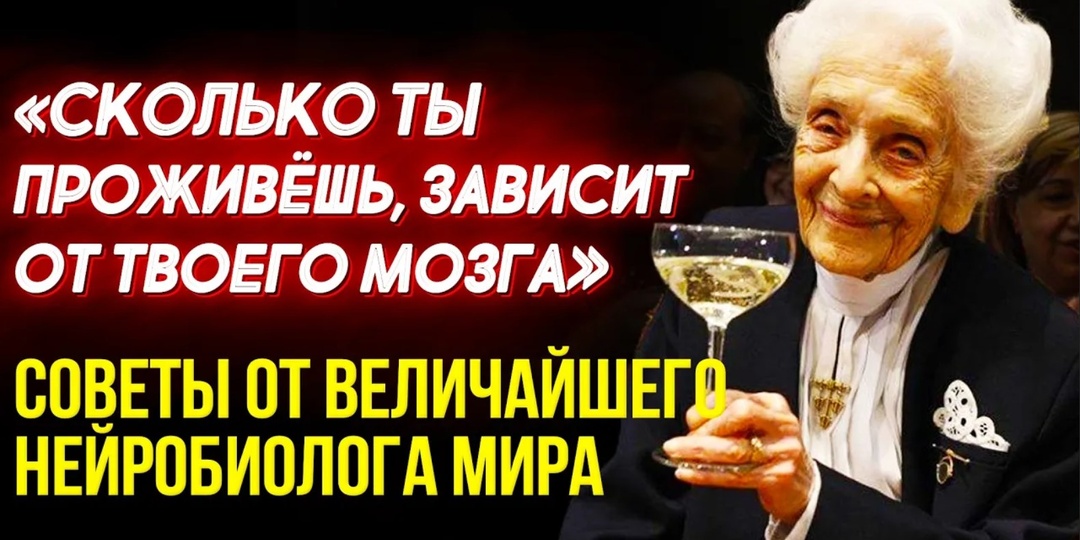 Почему люди, которые много читают, стареют иначе? Данные нейробиологов