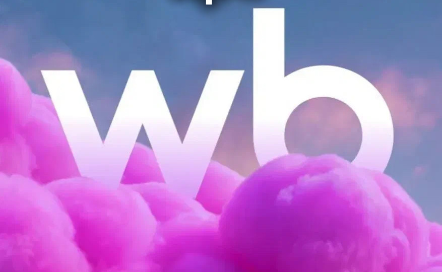 Что думает Алиса про WB