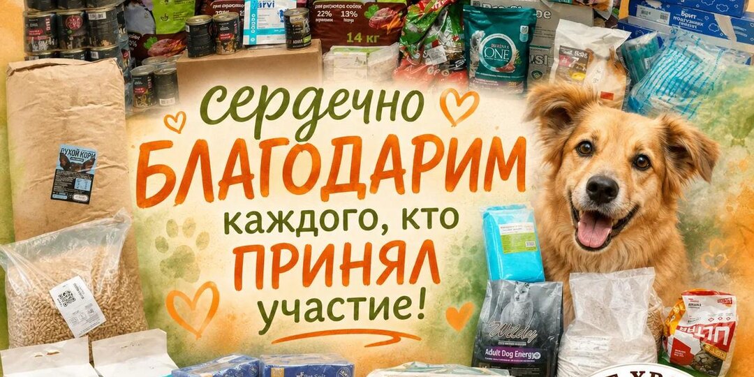 ТЫК — и миска полная. КЛИК — и щенок получил лекарство.