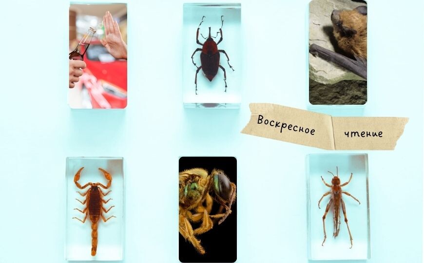 Дизайн неупорядоченных белков и другие новости недели