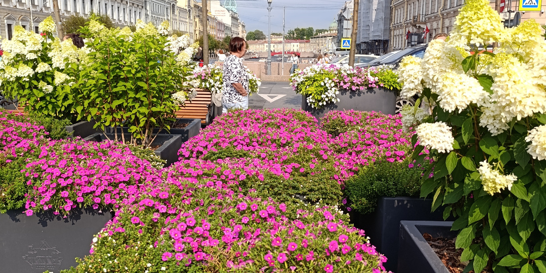 У пенсионеров каждый день  выходной.👏И понедельник тоже.🤗