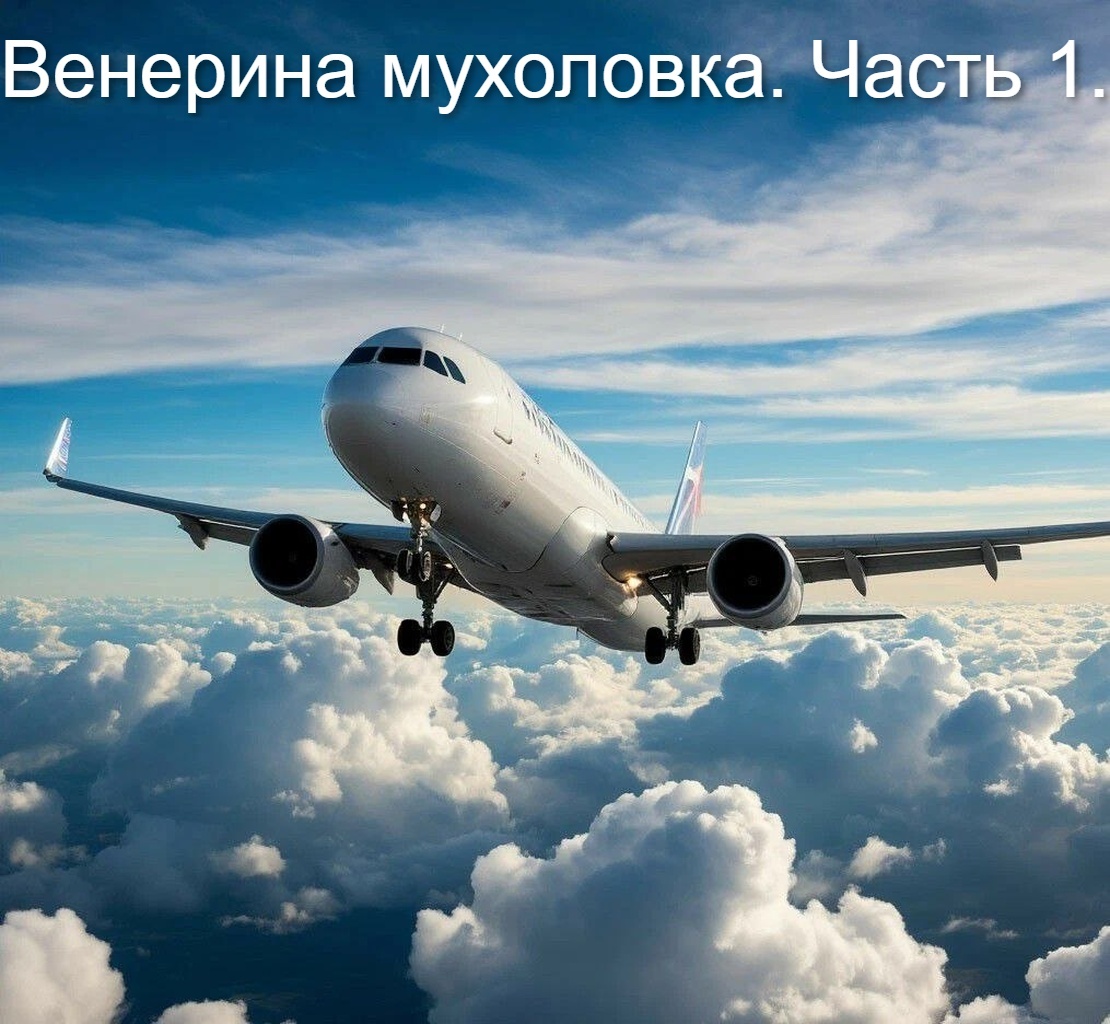 Изображение сгенерировано нейросетью Шедеврум.