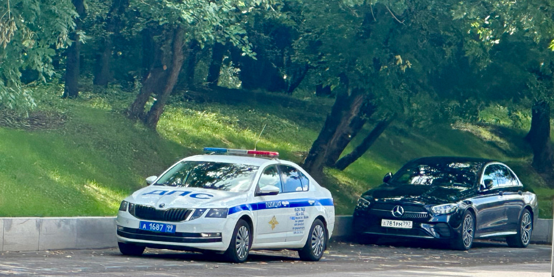 Рейды ГИБДД с 3 по 9 августа: за что ловят и как избежать штрафа