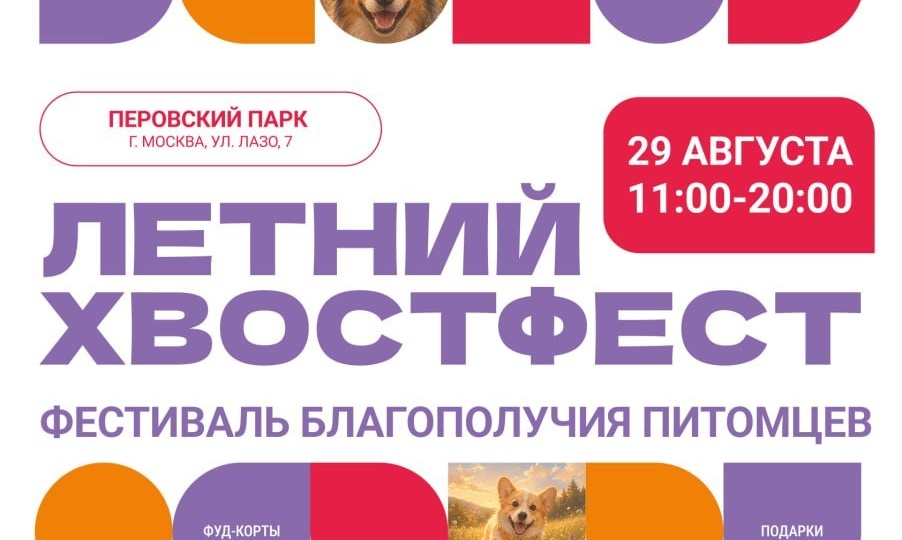 Фонд «Возьми счастье в дом» проведет первый фестиваль благополучия животных «Летний Хвостфест» 🐾 Приходите