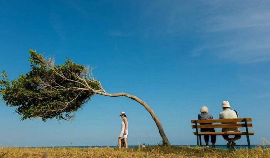 15 фото турчанки, которая нашла себя через объектив камеры