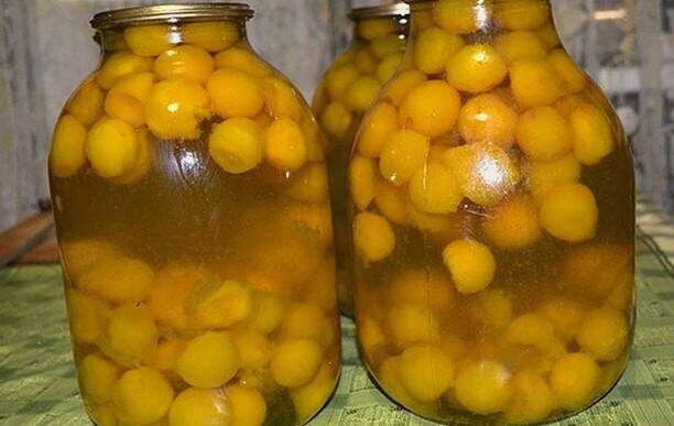 Компот из алычи рецепт и польза