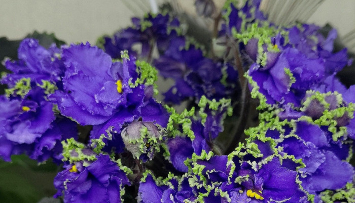   📷
