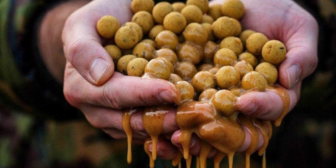 Рыбные и фруктовые бойлы в карпфишинге: Ключевые различия