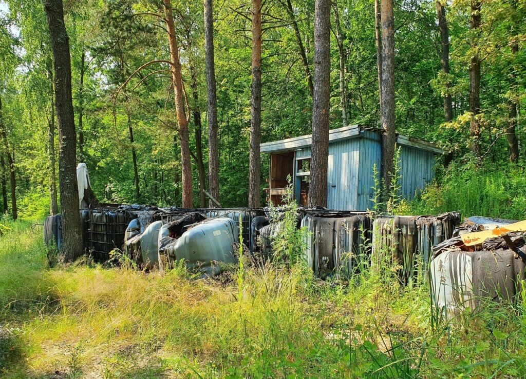    Фото: Росприроднадзор Иван Воробьев