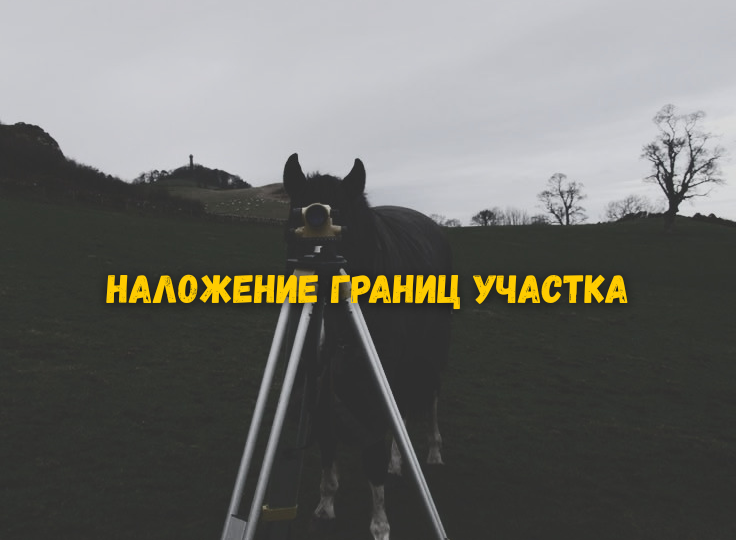Межевание выявило наложение границ: что делать по шагам