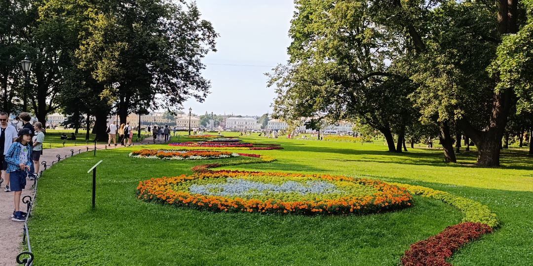 Нарвала цветов и поставила в хрустальную вазу.🌹