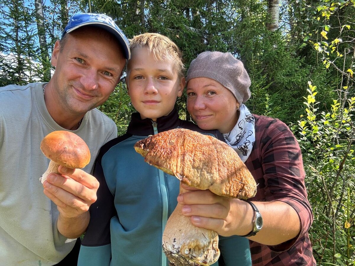Разрезанный белый гриб с червоточинами