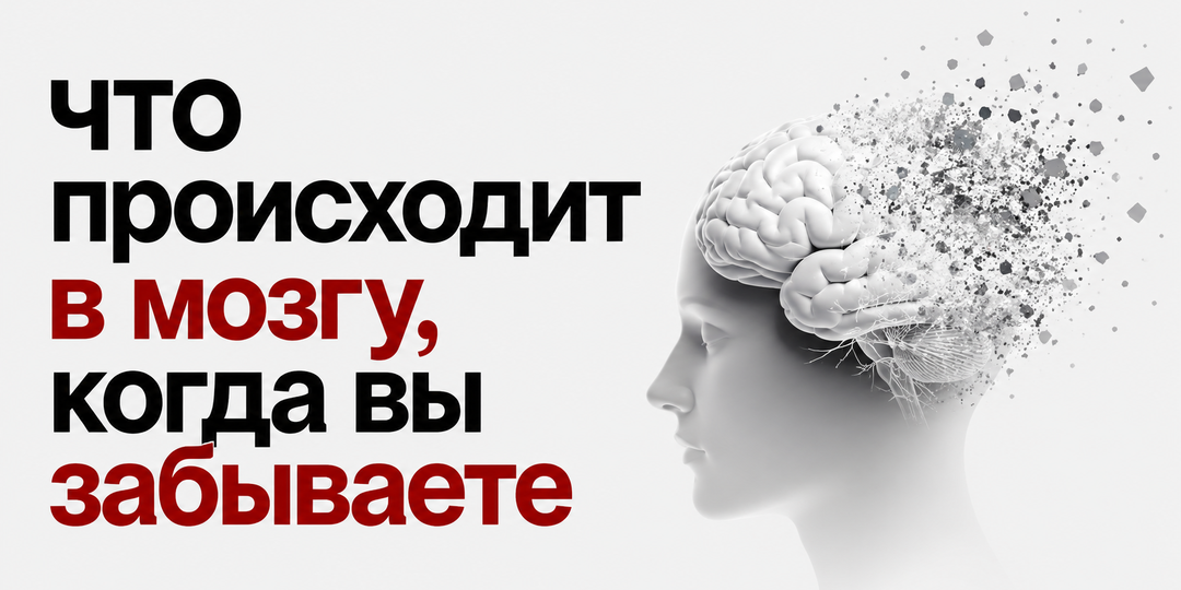 Что происходит в мозгу, когда вы забываете