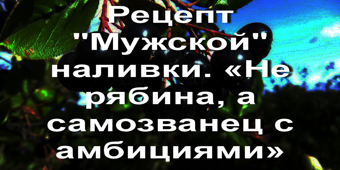 Рецепт "Мужской" наливки. «Не рябина, а самозванец с амбициями»