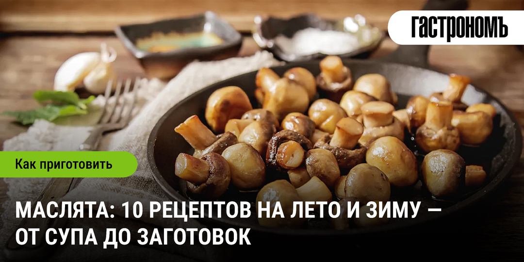 Маслята: 10 рецептов на лето и зиму — от супа до заготовок