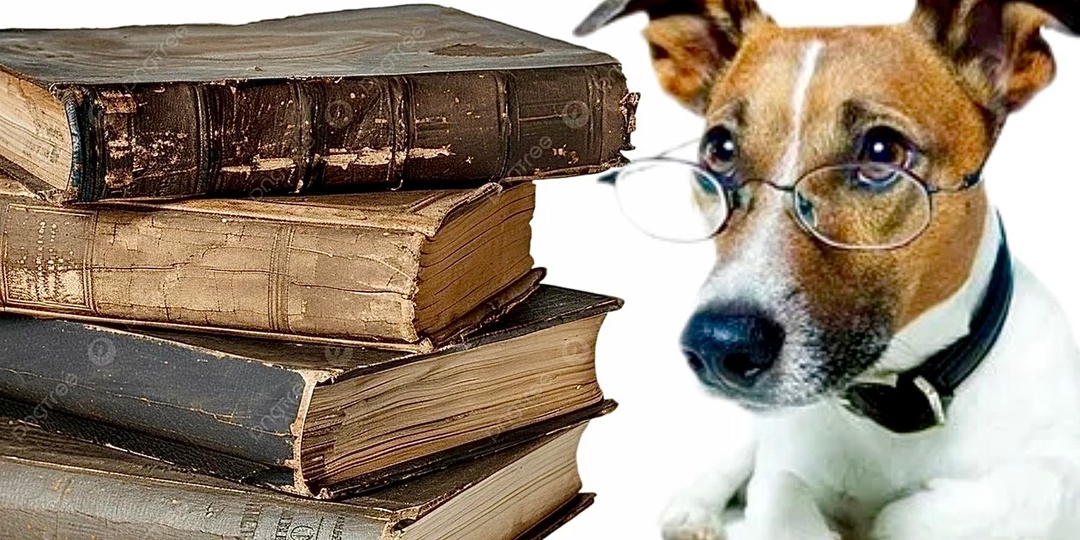 Тест по ЛИТЕРАТУРЕ: проверяем читательский кругозор. Кто написал эти 10 книг?
