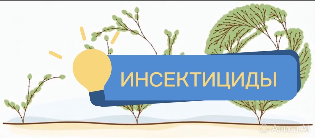 Инсектициды для суккулентов: как выбрать и не ошибиться