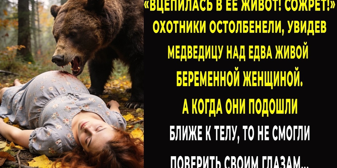 «Вцепилась в живот, загрызёт»: охотник навёл ружьё на медведицу над беременной — а егерь узнал шрам на её лапе
