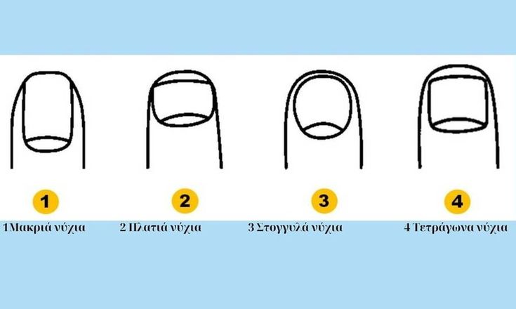 1. Длинные прямоугольные. 2. Короткие. 3. Круглые. 4. Квадратные. 