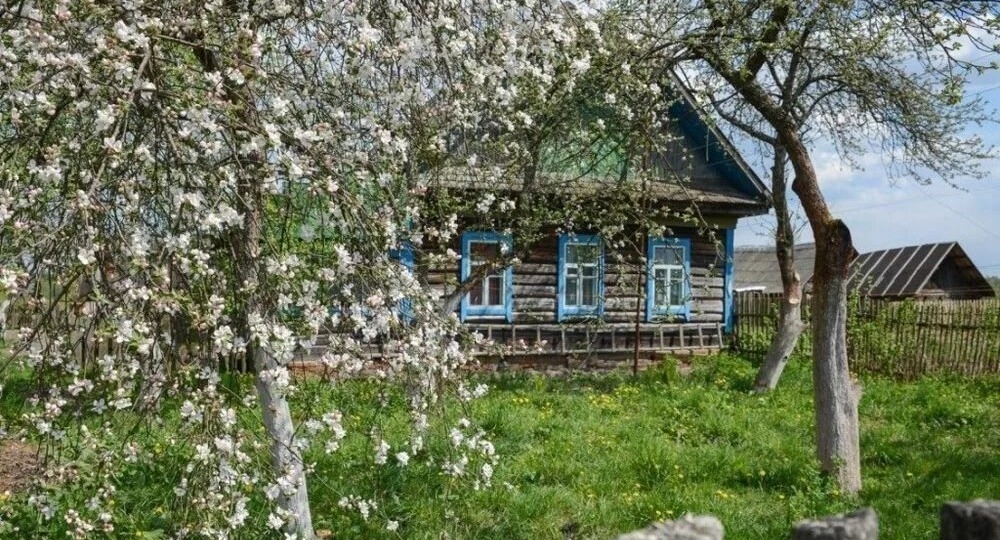 ТЕНЬ ОТ ЯБЛОНИ
