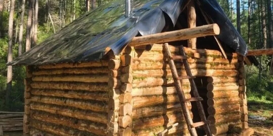 В Красноярском крае открыли стационар для снежных барсов