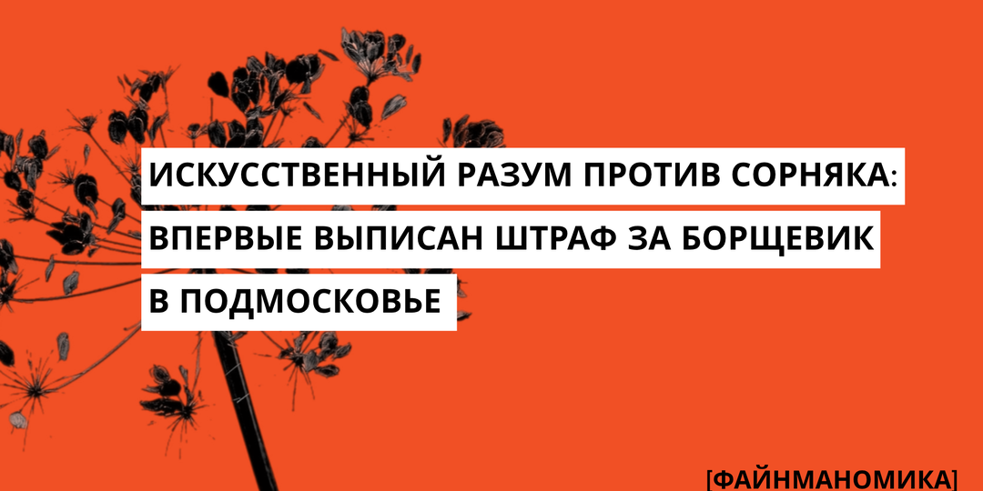 Искусственный разум против сорняка: впервые выписан штраф за борщевик в Подмосковье