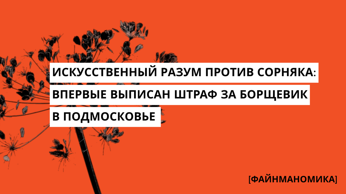 Как беспилотник и нейросеть выписали мне штраф в 150 000 рублей за сорняки