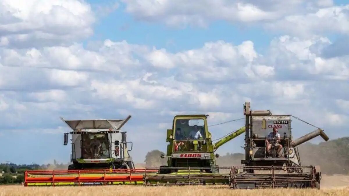 Фото: agrimachinerynews.com
Исторический 200-тысячный образец комбайна CLAAS SENATOR 1968 года вернулся к уборке урожая после 58 лет перерыва