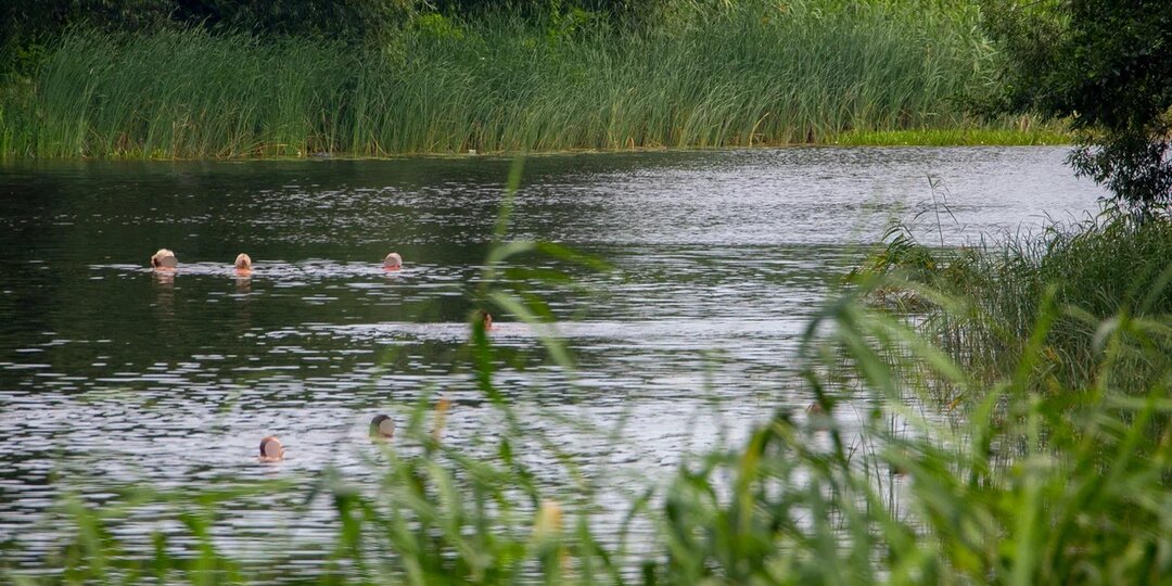 Спасатели напомнили воронежцам о правилах поведения у воды