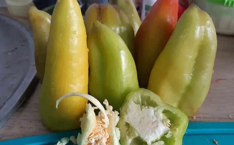 Простой и вкусный рецепт фаршированных перцев для заморозки в холодильнике