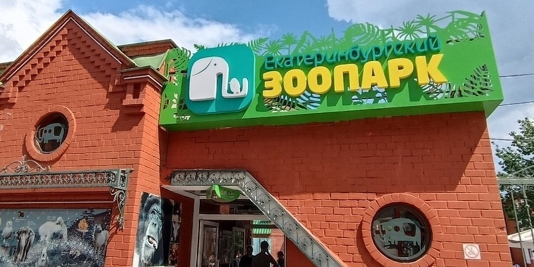 В Екатеринбургском зоопарке вылупились птенцы павлинов
