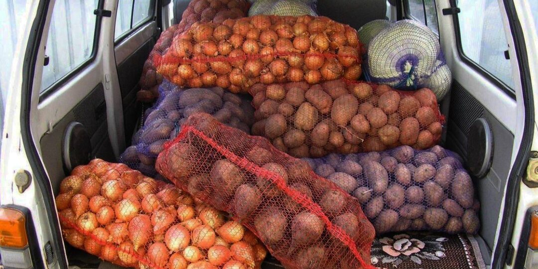 Почему мы перестали ездить на картошку и что мы от этого потеряли