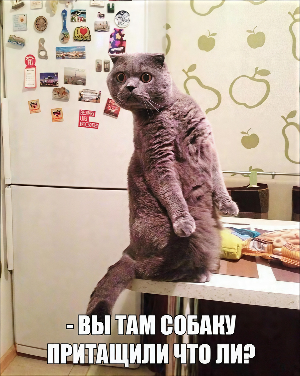 Мемасик №1