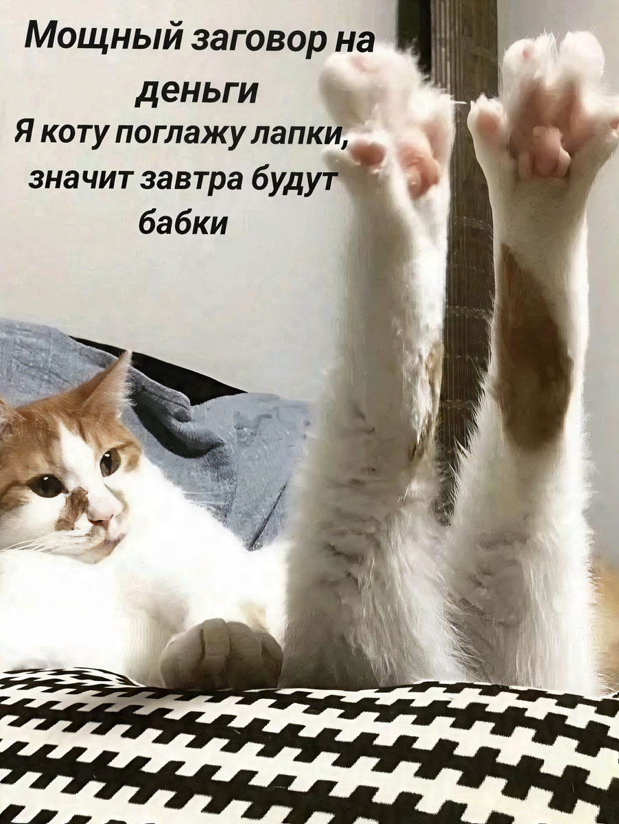 Мемасик №2