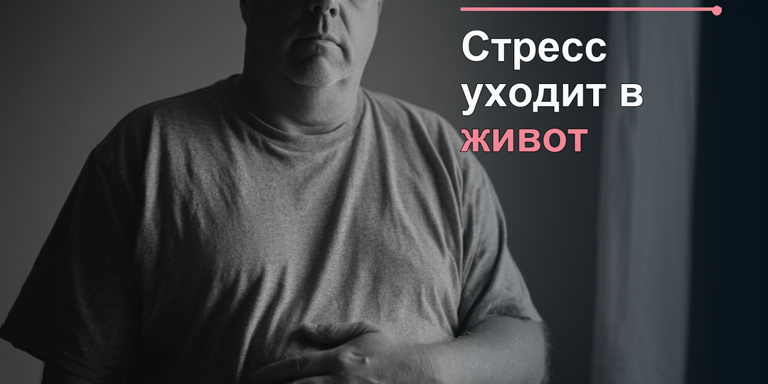 Стресс уходит в живот: как нервы, кишечник и воспаление связаны на самом деле