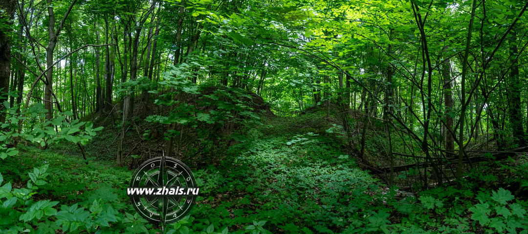 Памятники археологии Рязанской области. Городище Половское 1
